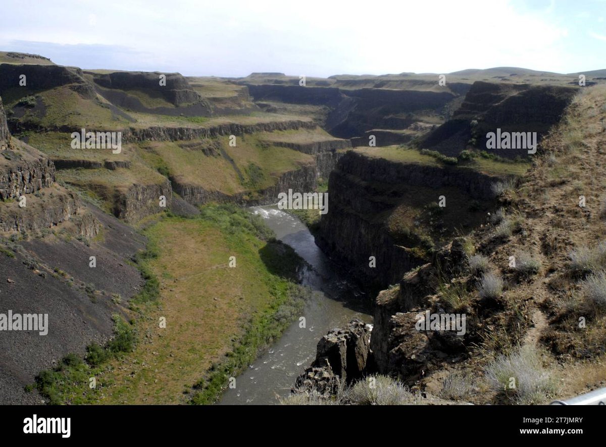 Specific Traveler Trip Insurance for Families, Seniors, and Adventure Seekers