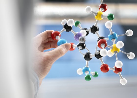 Understanding Trip Insurance Helps You Choose the Right Coverage